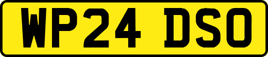 WP24DSO