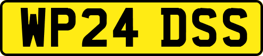 WP24DSS