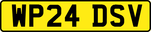 WP24DSV