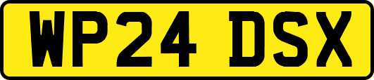 WP24DSX