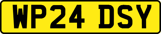 WP24DSY