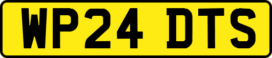 WP24DTS