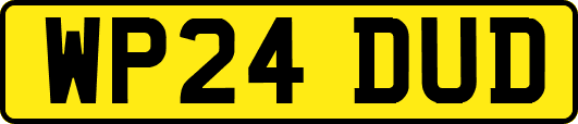 WP24DUD