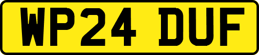 WP24DUF