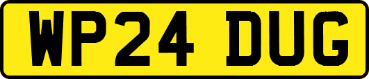WP24DUG