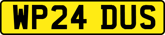 WP24DUS