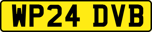 WP24DVB