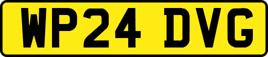 WP24DVG
