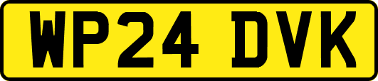 WP24DVK