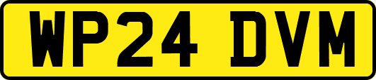 WP24DVM