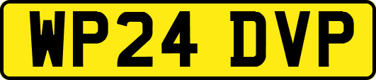WP24DVP