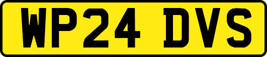 WP24DVS
