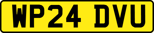 WP24DVU