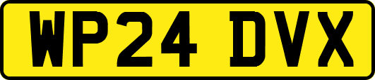 WP24DVX