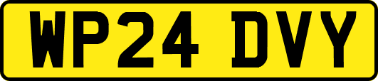 WP24DVY