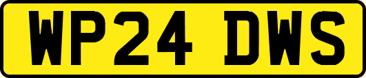 WP24DWS