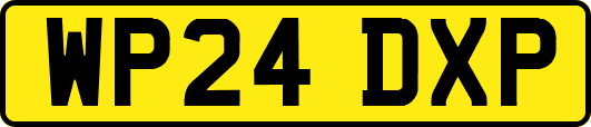 WP24DXP
