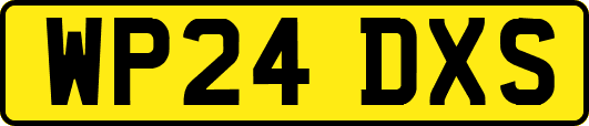 WP24DXS