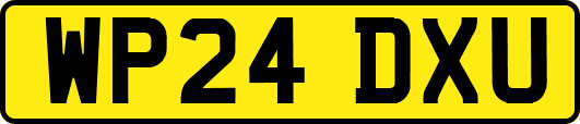 WP24DXU