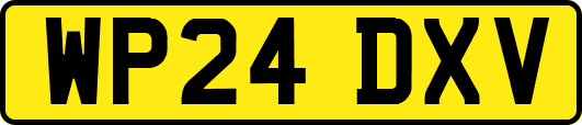 WP24DXV