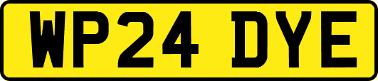 WP24DYE