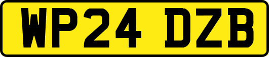 WP24DZB