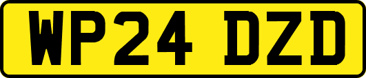 WP24DZD