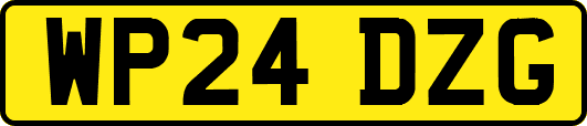 WP24DZG
