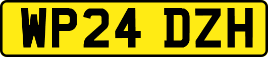 WP24DZH