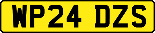 WP24DZS