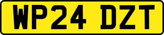 WP24DZT