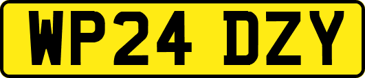 WP24DZY