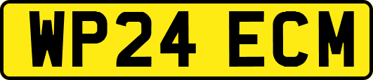 WP24ECM