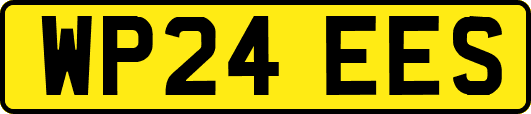 WP24EES