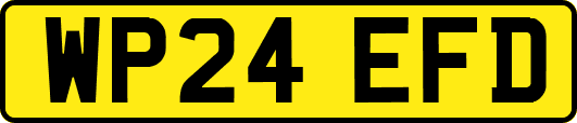 WP24EFD