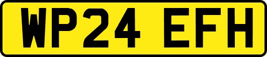 WP24EFH
