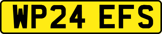 WP24EFS