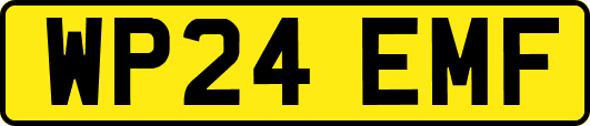 WP24EMF