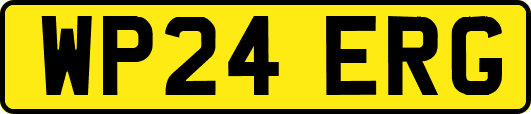 WP24ERG