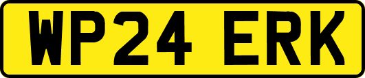 WP24ERK