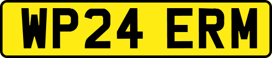 WP24ERM