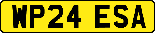 WP24ESA