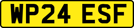 WP24ESF