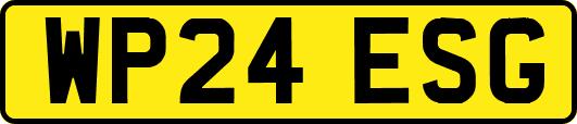 WP24ESG
