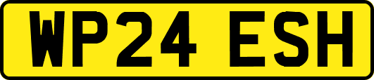 WP24ESH