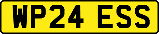 WP24ESS