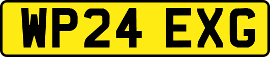 WP24EXG