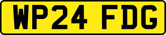 WP24FDG