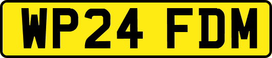 WP24FDM