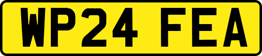 WP24FEA